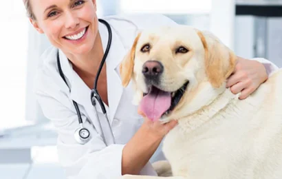 Evolution_Diet_2_69781b32-94e9-4371-a73b-037e9a9570f8_480x